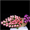 Lasting Beauty - Click here to View more details about this Product